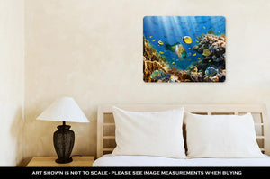 Metal Panel Print, Coral And Fish
