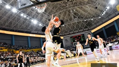 湖人球迷：场边有钱人的自大态度，尊重何在终极指南